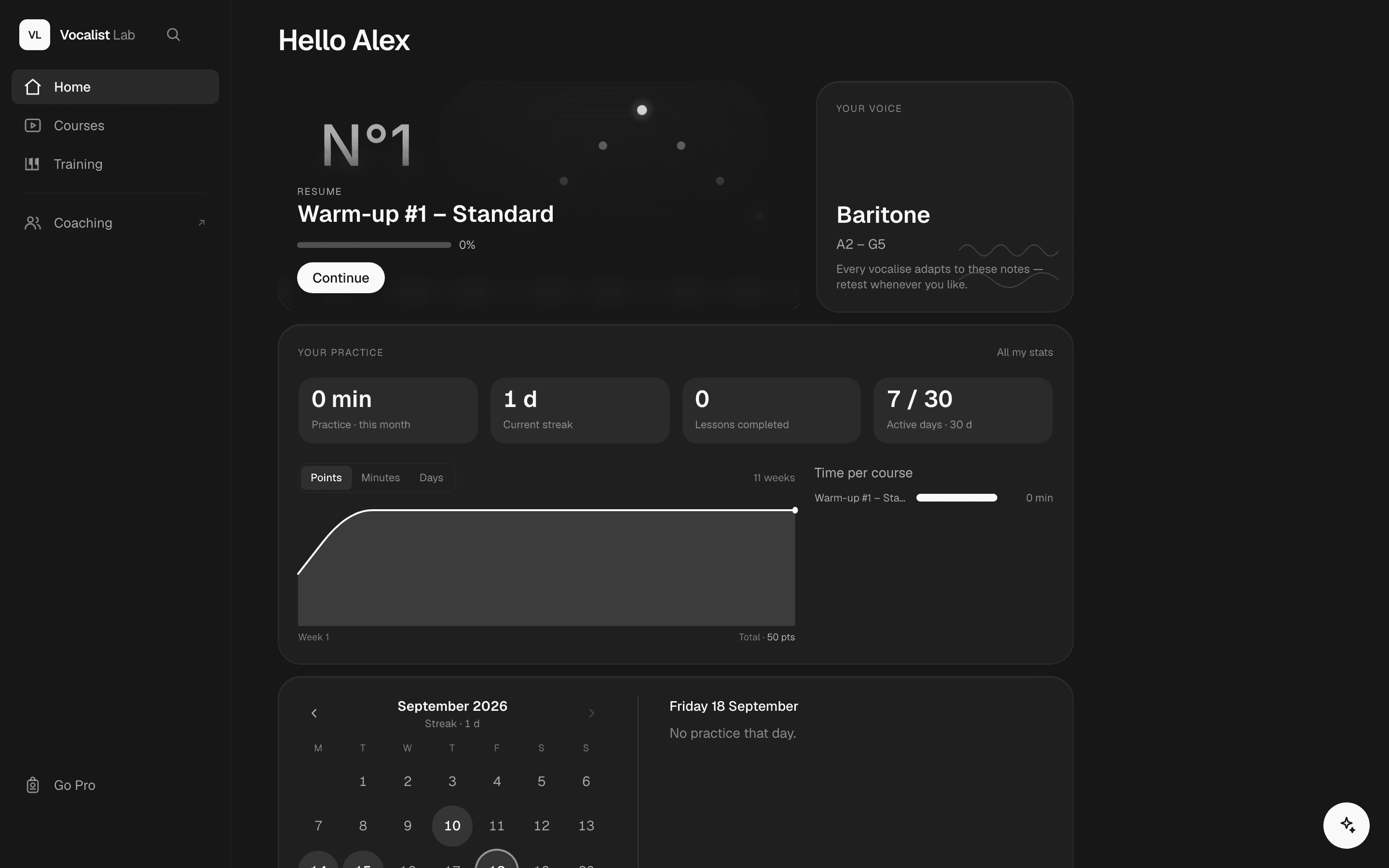 The dashboard: practice this month, current streak, lessons completed and time per course